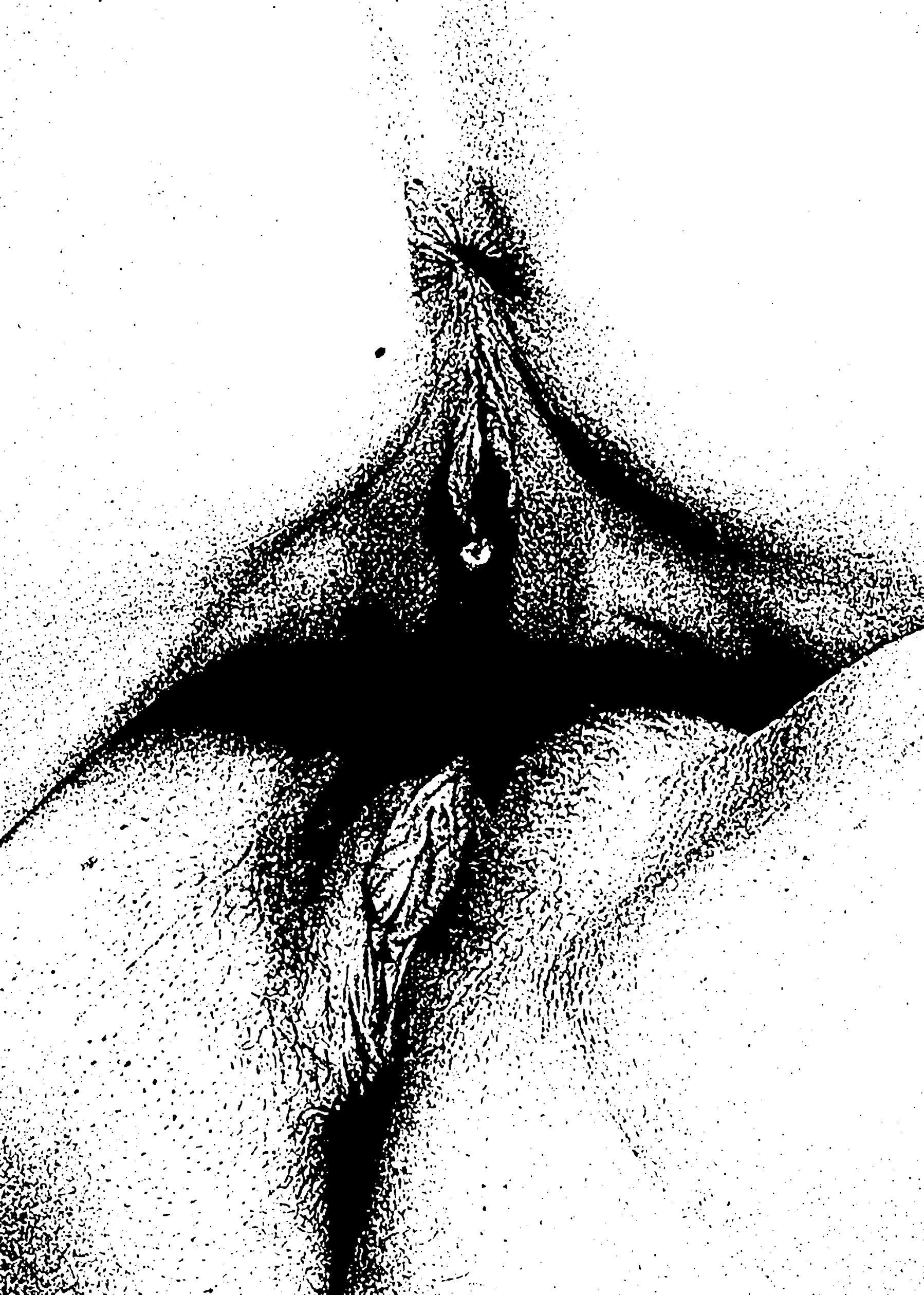 free lesbo cli ps disagreements with teens
