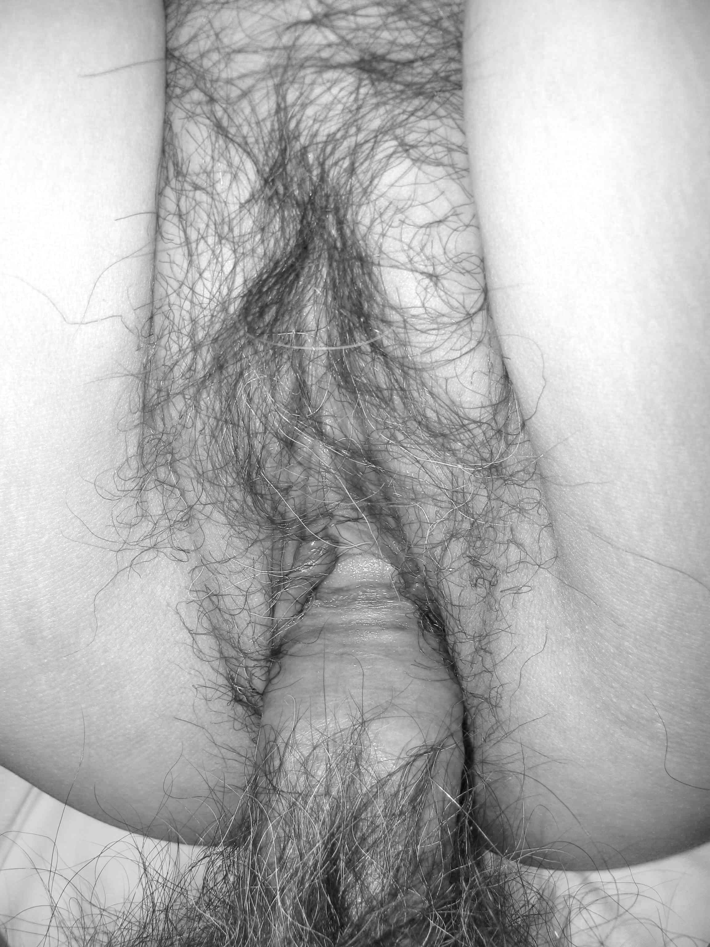 Hairy Closeup - Hairy Asian Penetration Closeup - Latina On Yuvutu Homemade ...