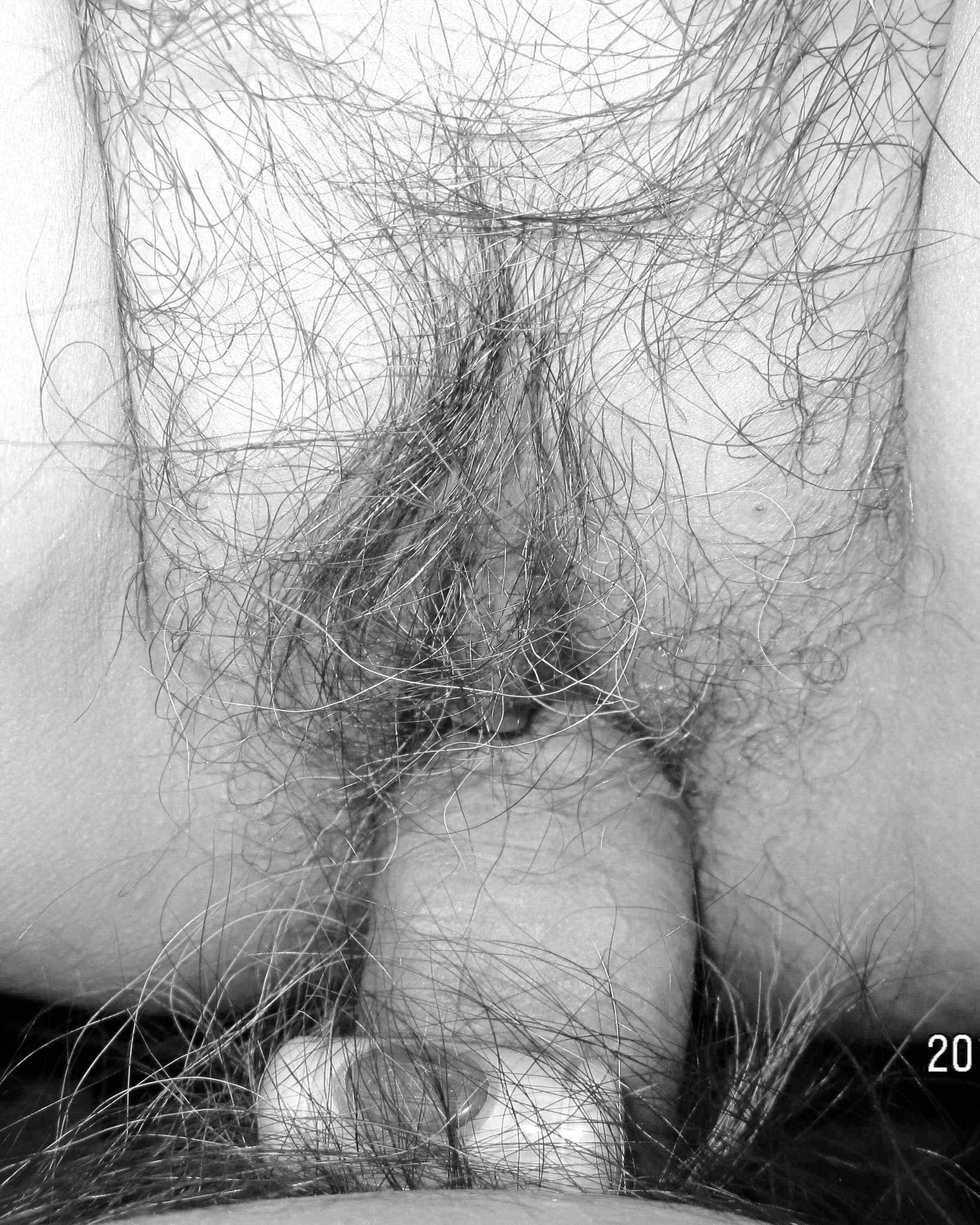 phrase watch sasha grey extream gangbang creampie think, that you are