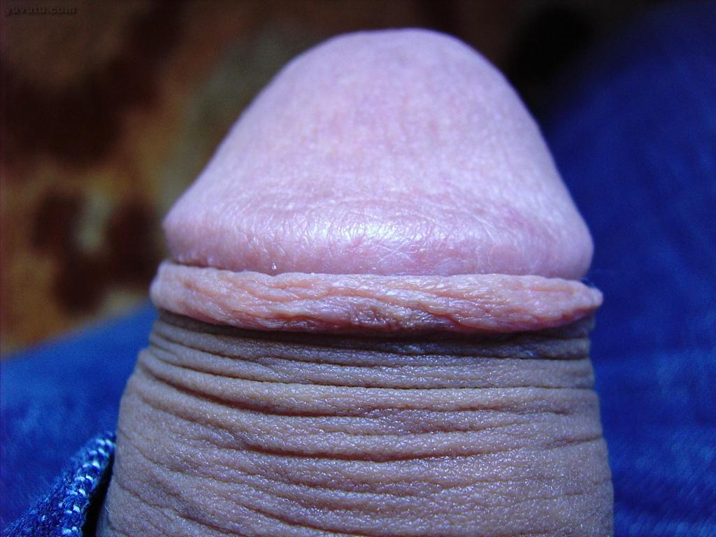 close up head of flaccid penis On Yuvutu Homemade Amateur Porn Movies And XXX Sex Videos image