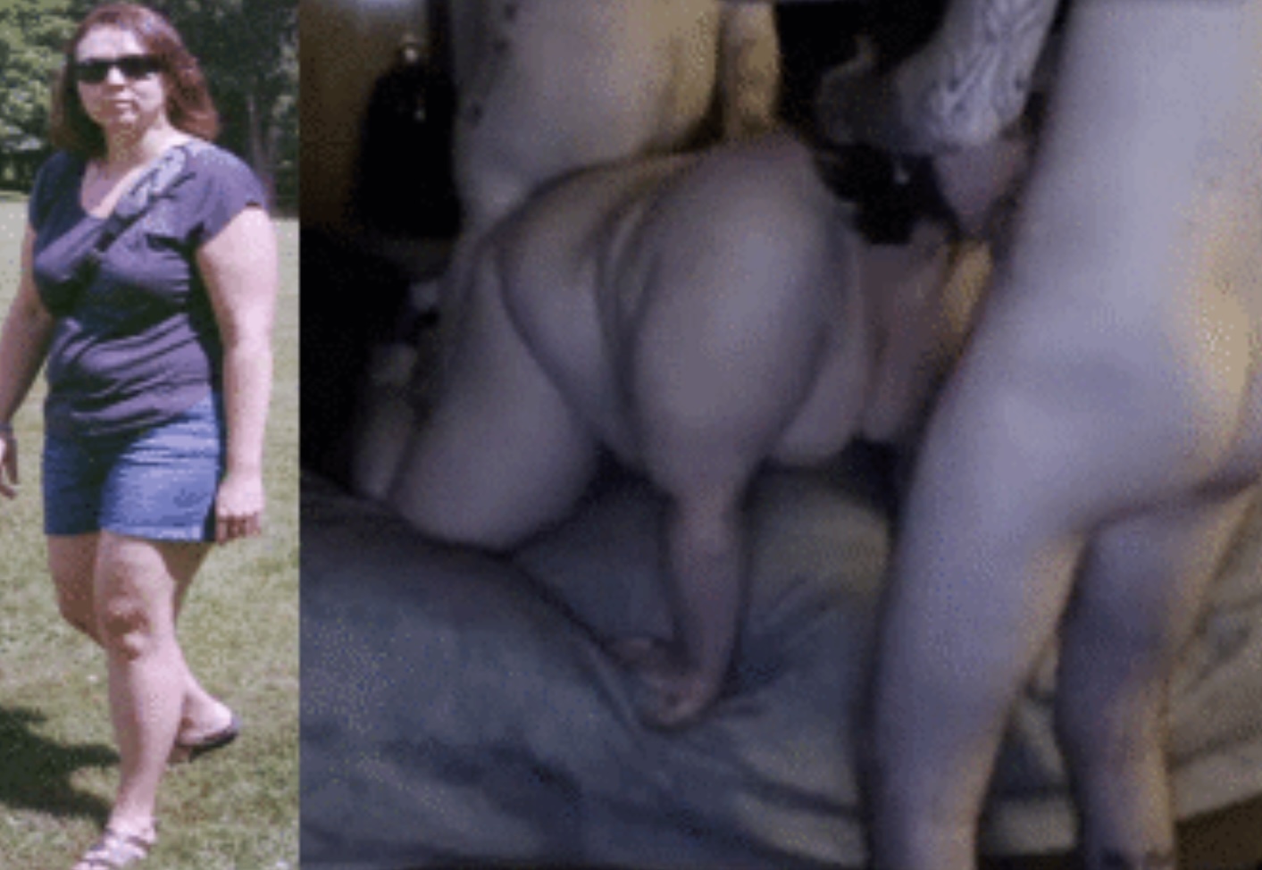 Breeding stock porn