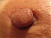 Nipples for Tasting 5