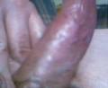 my cock