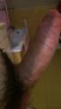 My cock