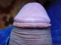 close up head of flaccid penis