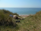 NUDE GRANNY ASLEEPING IN THE DUNES