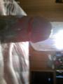 mike241
