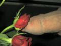 Foreskin and Roses