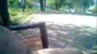 Vaqueira - Pe ee in park