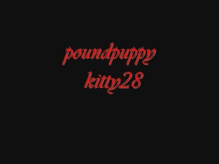 Exhibitionismus - pound puppy 2 kitty gets off