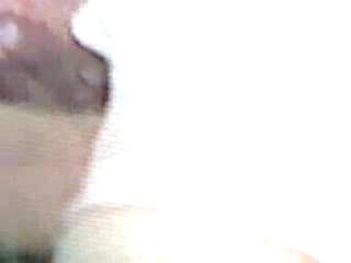Close-up - karlita de perrito