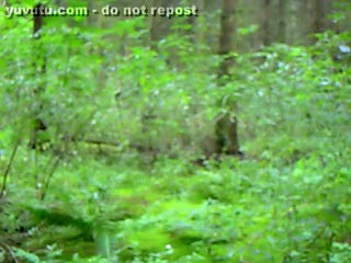 Riesenschwanz - Ein Pimmel steht im Walde