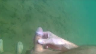 Missionarsstellung - Unterwasser - underwater