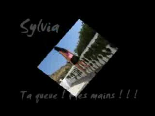  - Sylvia