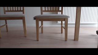 Voyeur - Under the table part 1