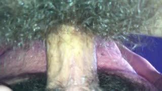 Pelosa - Hairy Gal underneath