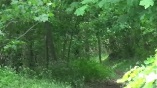 Flash/Pubblico - SURPRISE COUPLE FUCKING NUDE IN FOREST