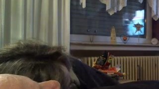 BBW/Chubby - Unser letztes mal zusammen