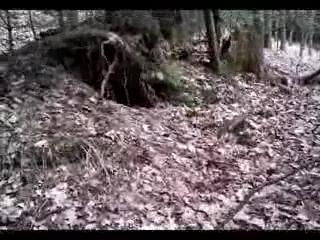 Flashing/Public - Nackt im Wald...