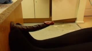 Masturb. masculina - cd/tv in black tights giving another footjob