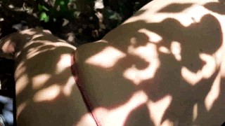 Anal - Fucked in the woods