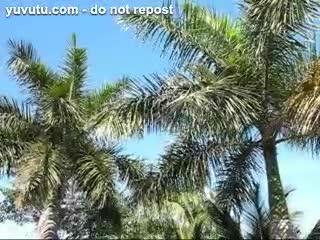  - Outdoor Deck Tropical Blowjob