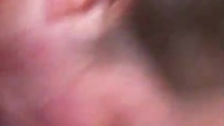 Schwanzblasen - Mature swallow