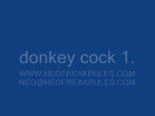 - donkey cock 1.
