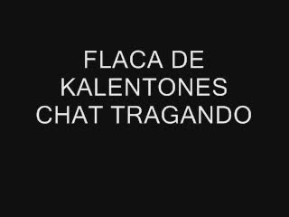 Schwanzblasen - FLACA DE KALENTONES CHAT TRAGANDO