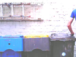 Riesenschwanz - Auf Mülltonnen