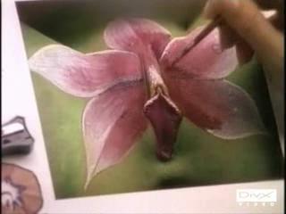 Bizzare - orchidee